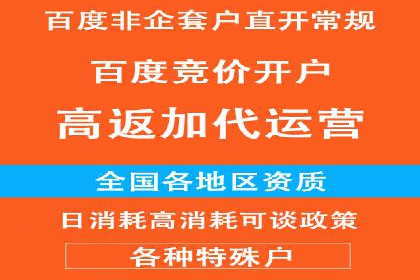 某品牌信息流广告的投放技巧与效果评估